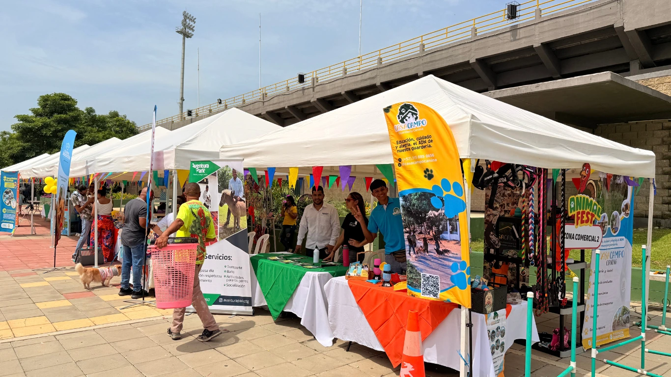 CARPA TIPO KIOSCO